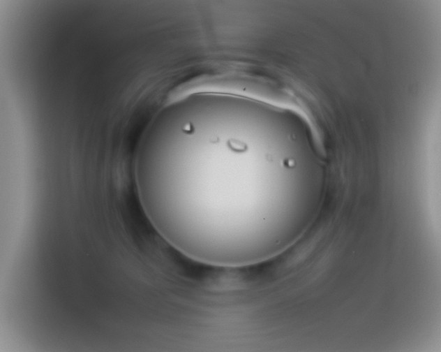 X0000113910325200910011454