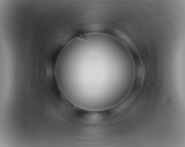 X0000113910326200910011454