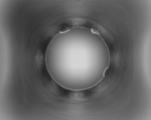 X0000113910327200910011454