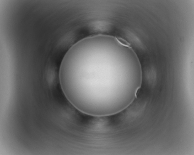 X0000113910328200910011454