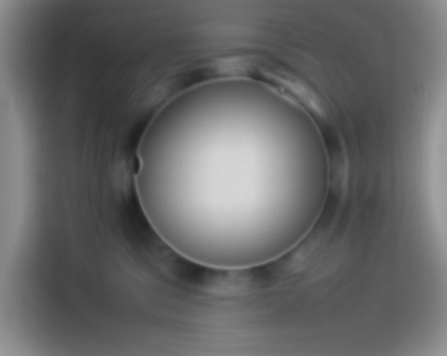 X0000113910329200910011454