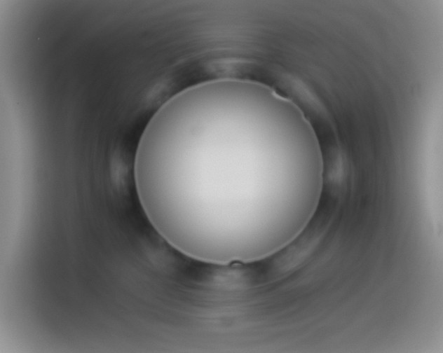 X0000113910332200910011454