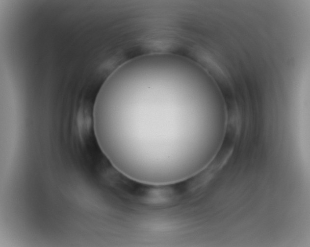 X0000113910334200910011454