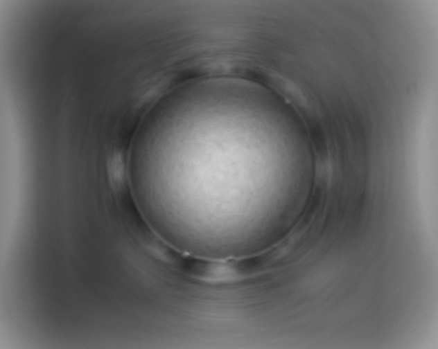 X0000113910335200910011454