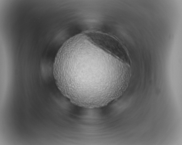 X0000113910336200910011454