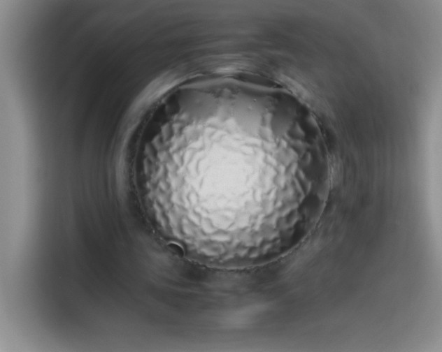 X0000113910339200910011453