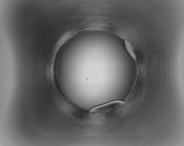 X0000113910340200910011453