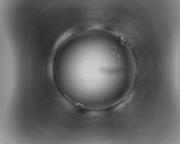 X0000113910341200910011453