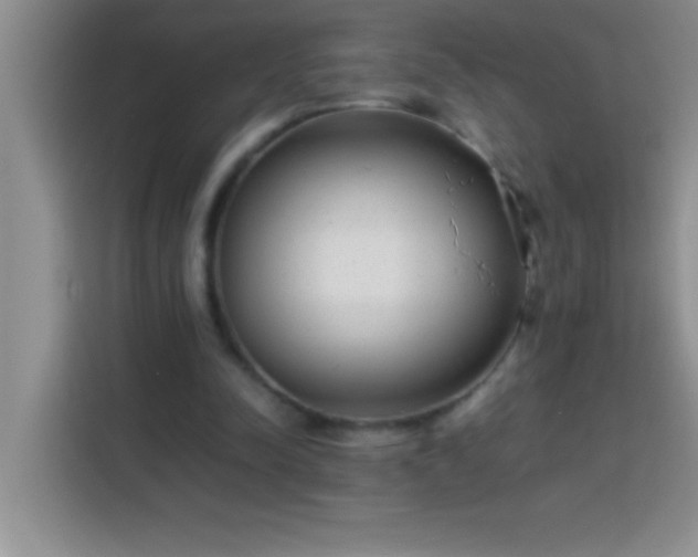 X0000113910342200910011453