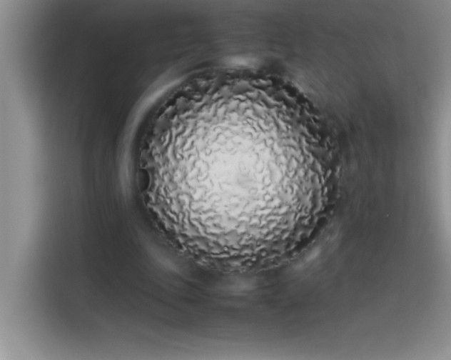 X0000113910343200910011453