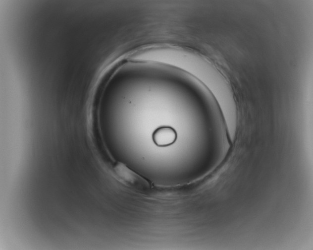 X0000113910344200910011453