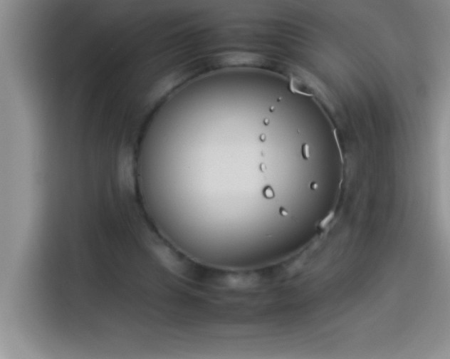 X0000113910345200910011453