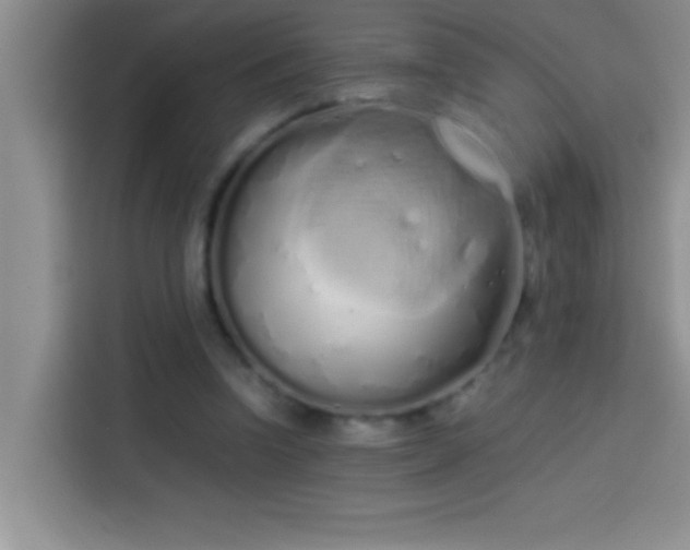 X0000113910346200910011453