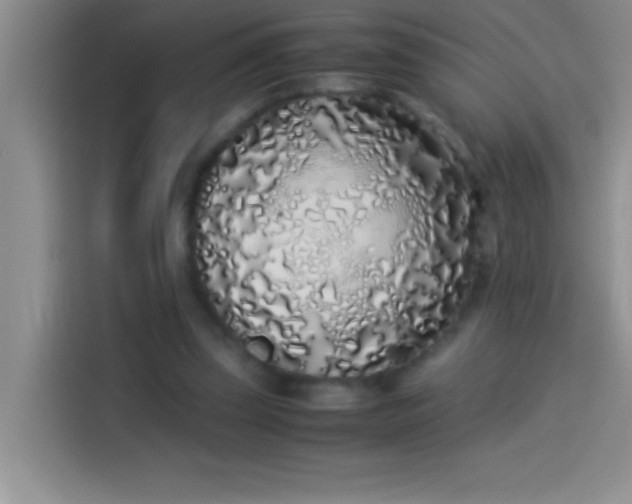 X0000113910347200910011453