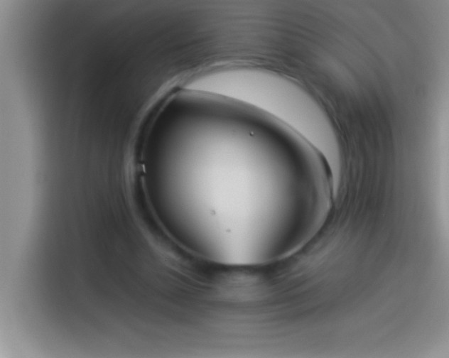 X0000113910348200910011453