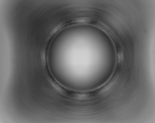 X0000113910349200910011453