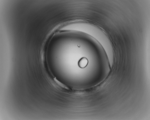 X0000113910350200910011453