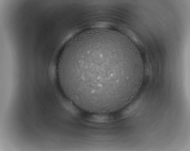 X0000113910351200910011453