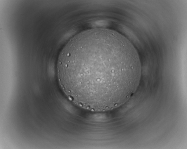 X0000113910353200910011453