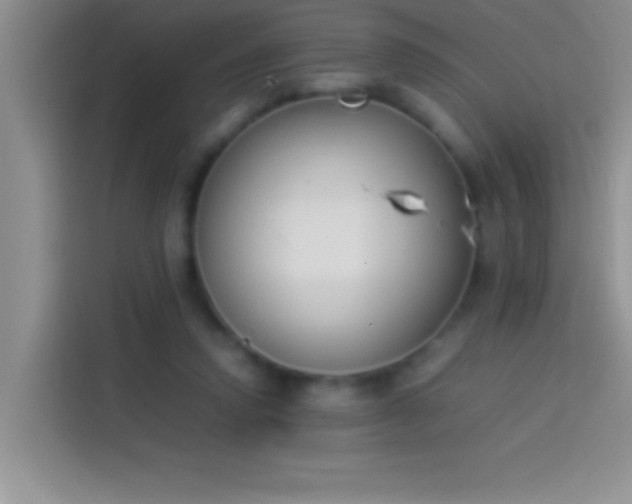 X0000113910354200910011453