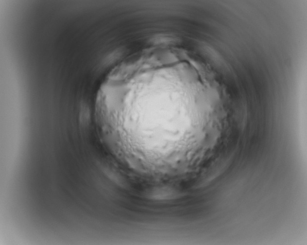 X0000113910357200910011453