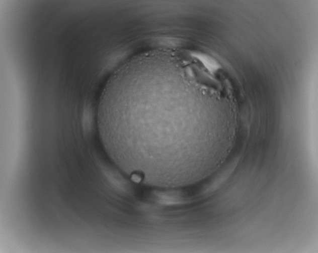 X0000113910359200910011453