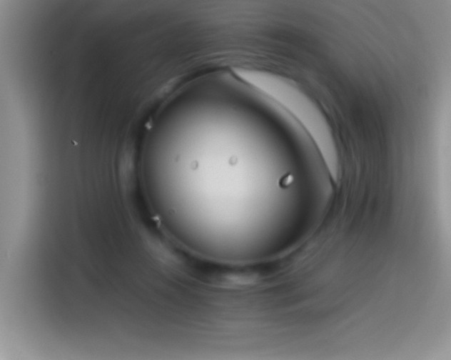 X0000113910360200910011453