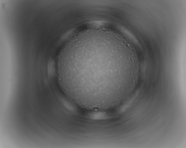 X0000113910361200910011453