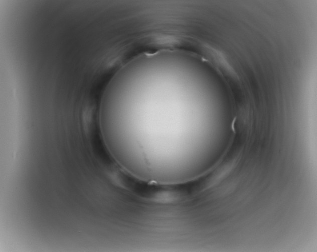 X0000113910364200910011453