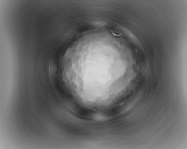 X0000113910365200910011453