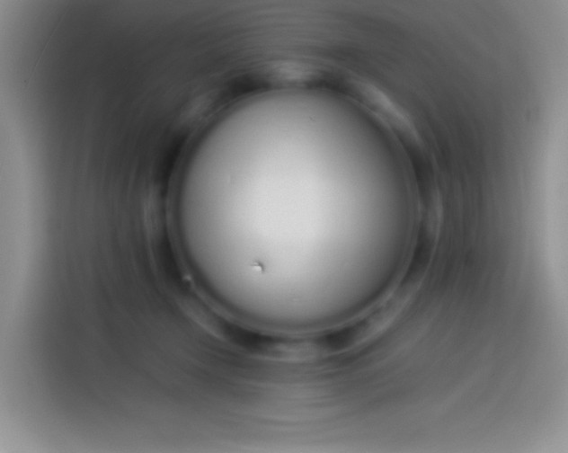 X0000113910366200910011453