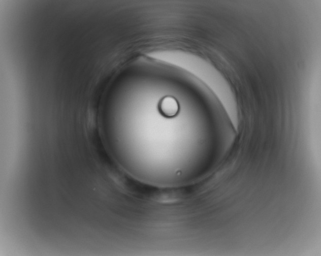 X0000113910368200910011453