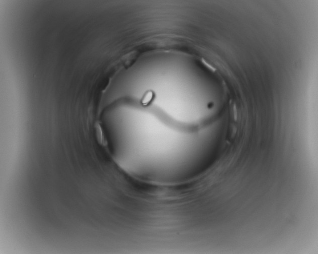 X0000113910372200910011453