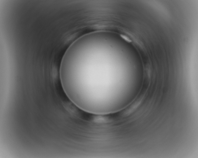 X0000113910380200910011453