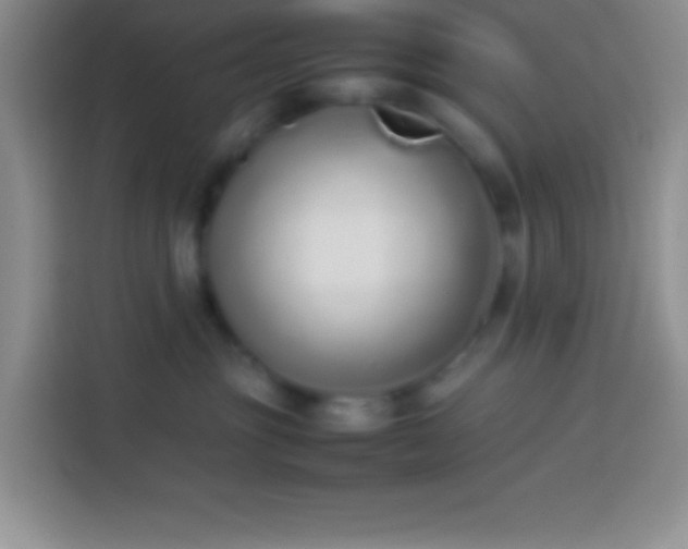 X0000113910381200910011454