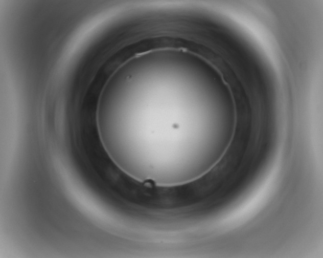 X0000113910382200910011454