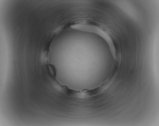 X0000113910383200910011454