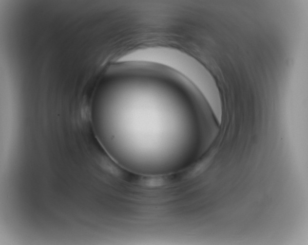 X0000113910384200910011454