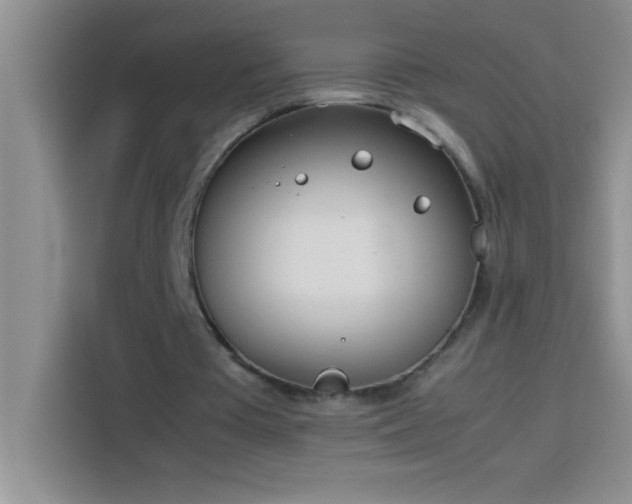 X0000113910385200910011453