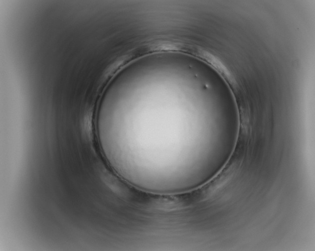 X0000113910386200910011453