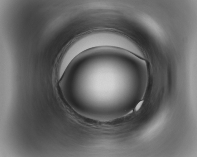 X0000113910387200910011453