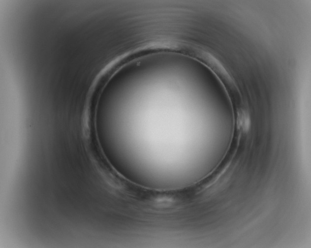 X0000113910388200910011453