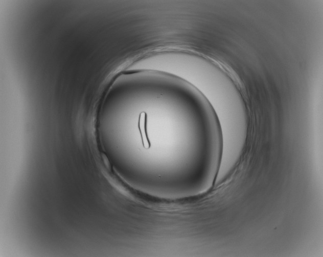 X0000113910389200910011453