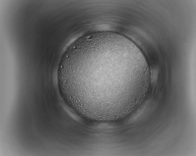 X0000113910390200910011453