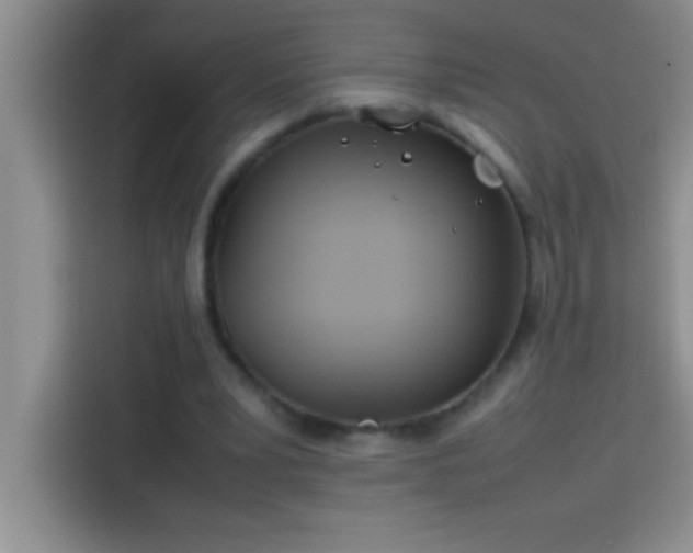 X0000113910391200910011453