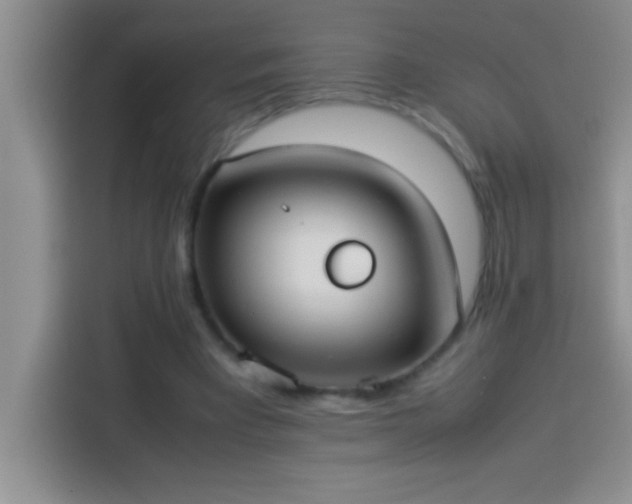 X0000113910393200910011453