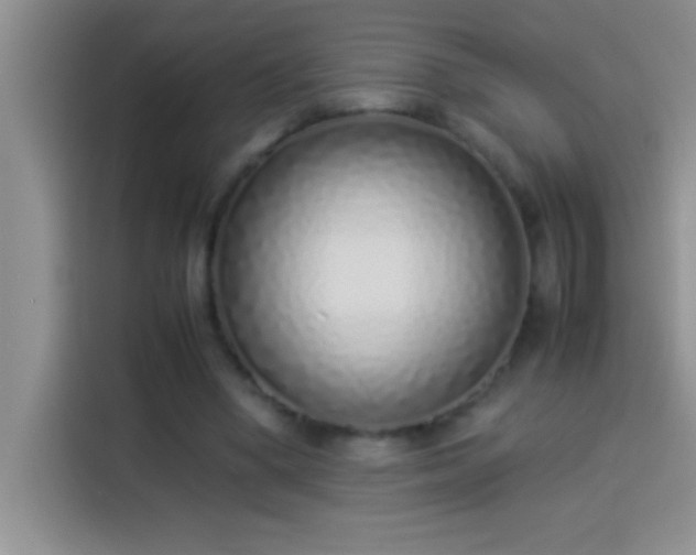 X0000113910394200910011453