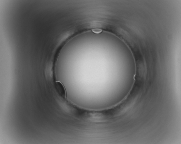 X0000113910395200910011453