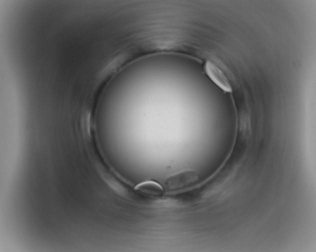 X0000113910397200910011453