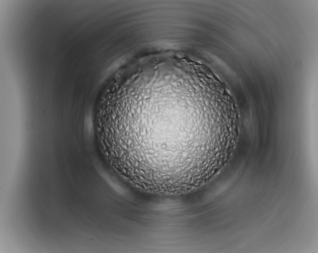 X0000113910398200910011453